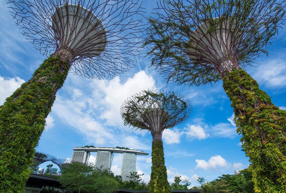 Singapore_Gardens By The Bay Singapore_Gardens By The Bay