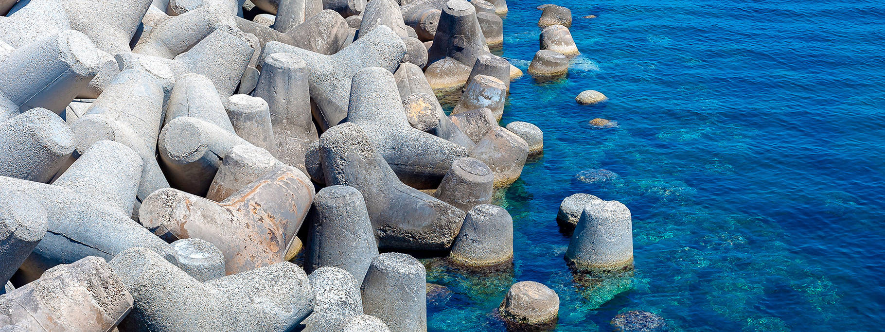 Tetrapods On Shoreline_Banner Tetrapods On Shoreline_Banner