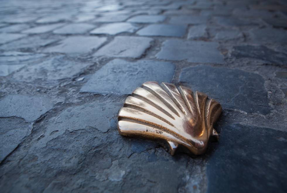 Belgium_Brussels_Clam Shell Belgium_Brussels_Clam Shell